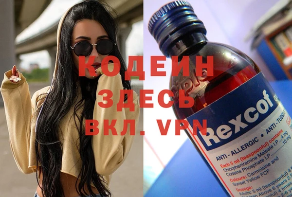 молекула духа Алексин