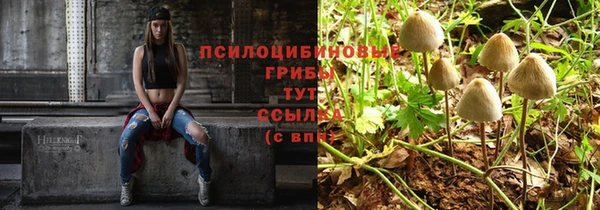 apvp Алзамай