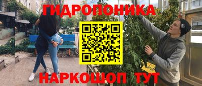 молекула духа Гуково