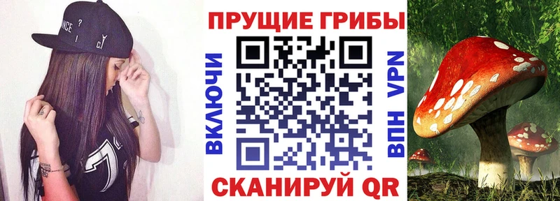 Псилоцибиновые грибы мухоморы  наркотики  Асино 