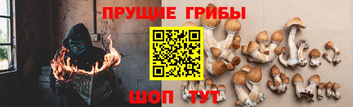 Галлюциногенные грибы мицелий  Вход с VPN  Асино 