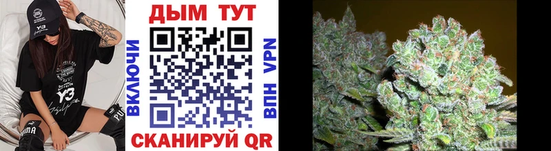 OMG ССЫЛКА Асино Шишки марихуана THC 21%